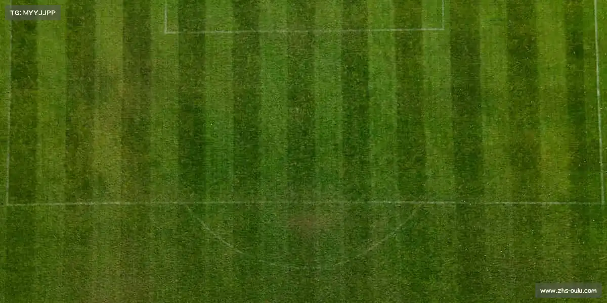 欧陆娱乐——✨用代码编织快乐，让每个玩家沉浸其中！